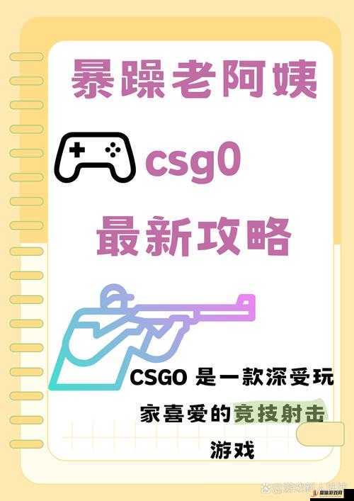 暴躁老阿姨 CSGO 图片高清：热血竞技的独特魅力展现