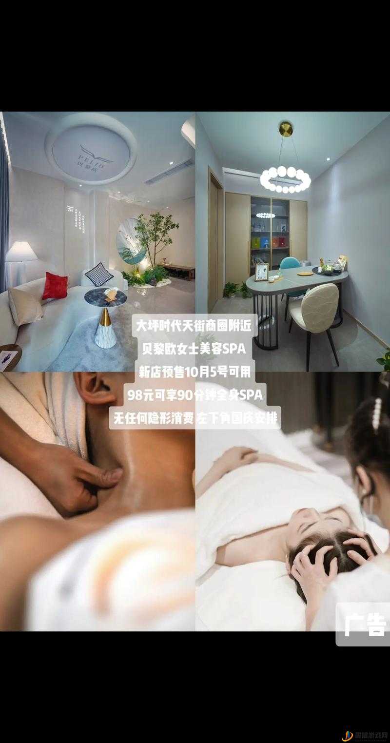 按摩 SPA 养生精油：带来全方位身心舒缓与滋养体验